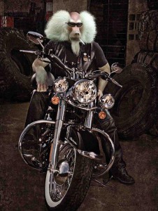 biker-monkey--36373.jpg